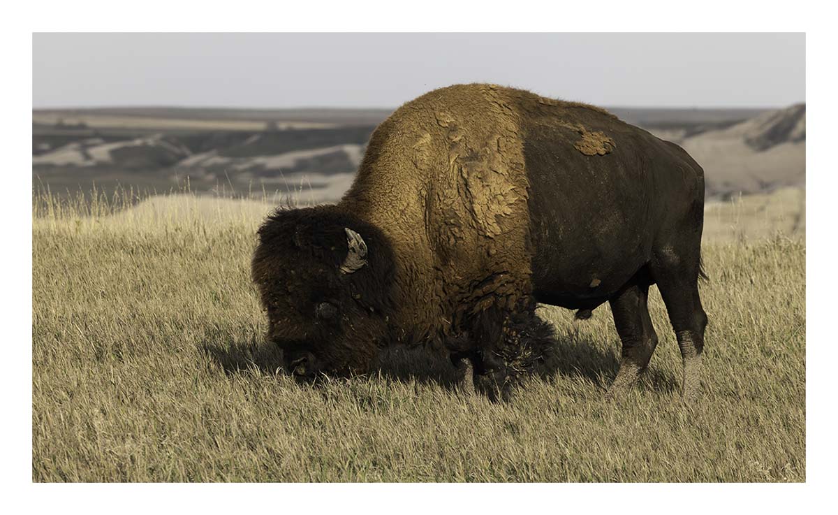 Badland National Park