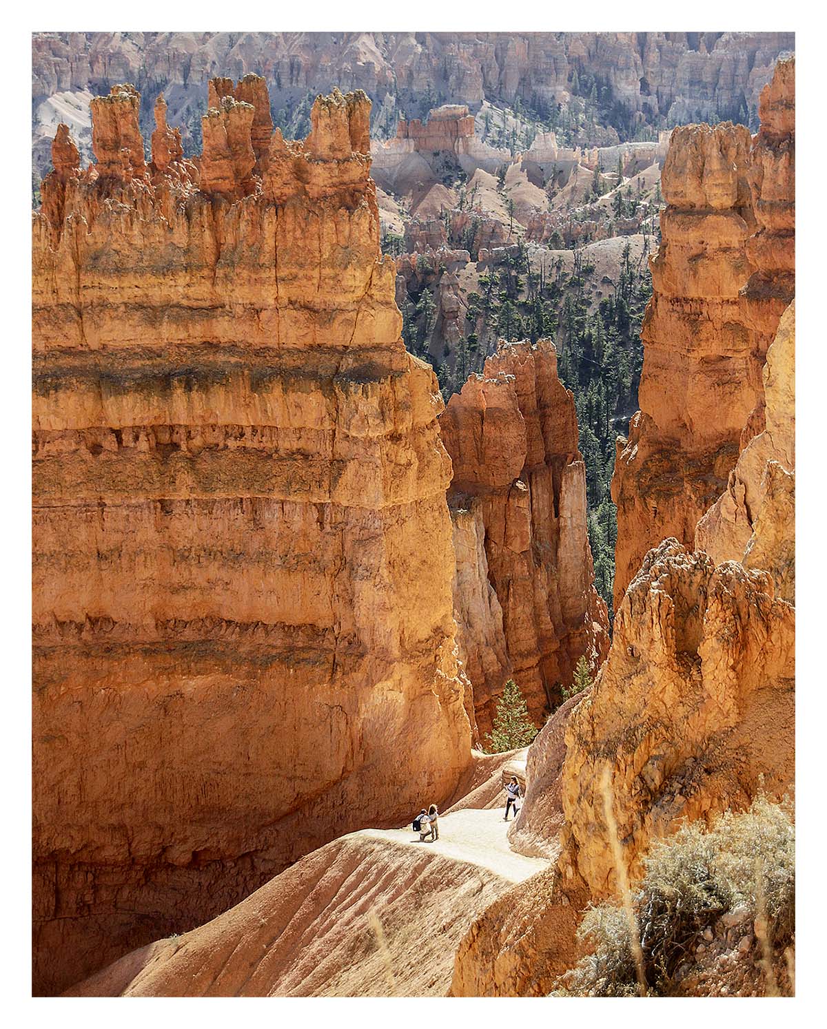 Bryce