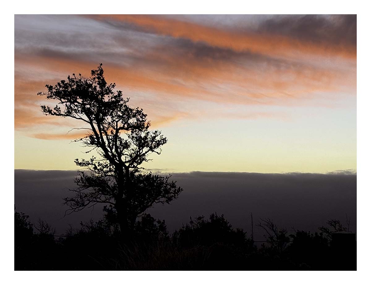 Volcano NP