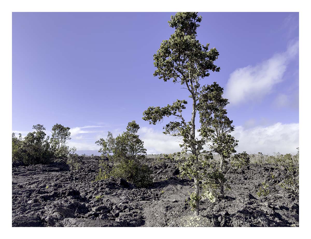 Volcano NP