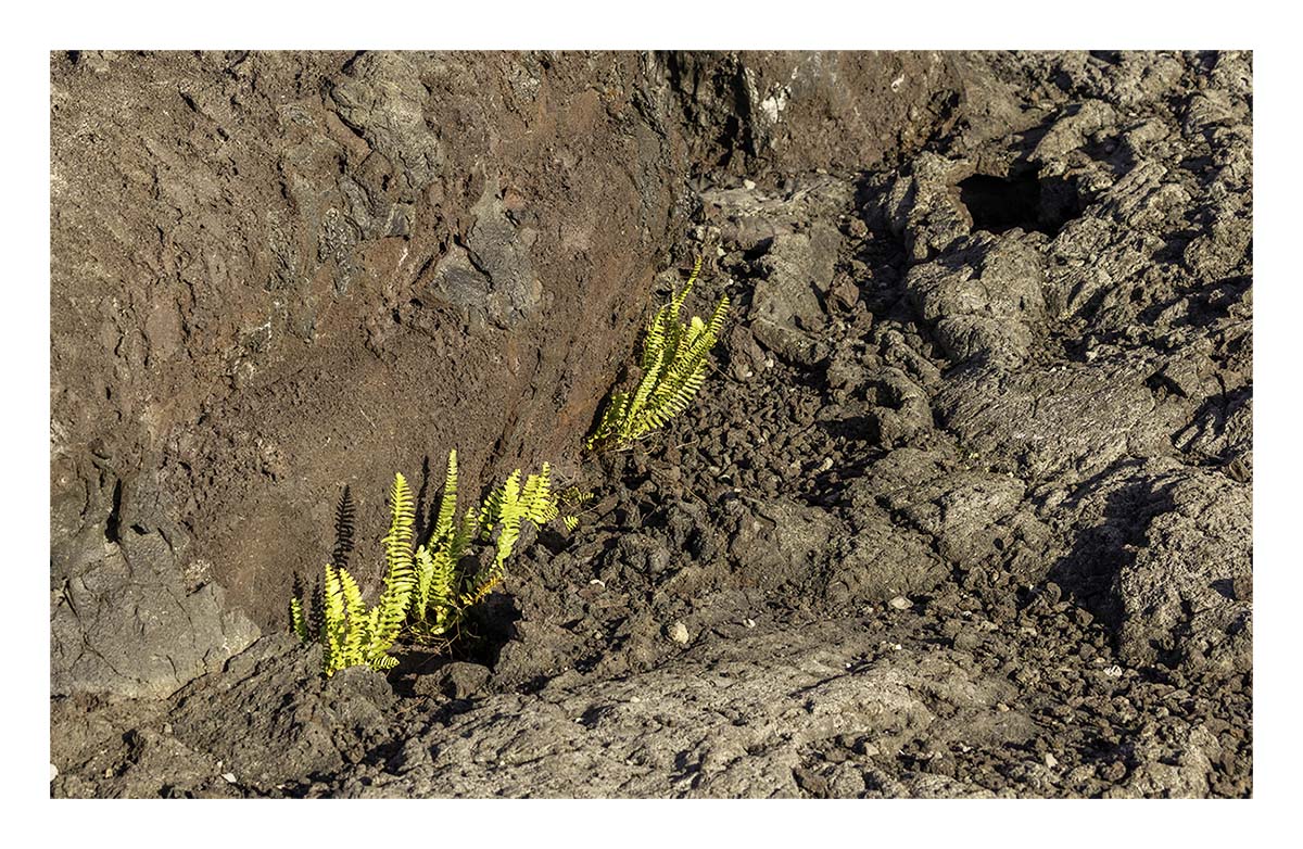 Volcano NP