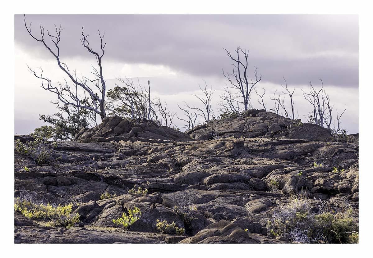 Volcano NP