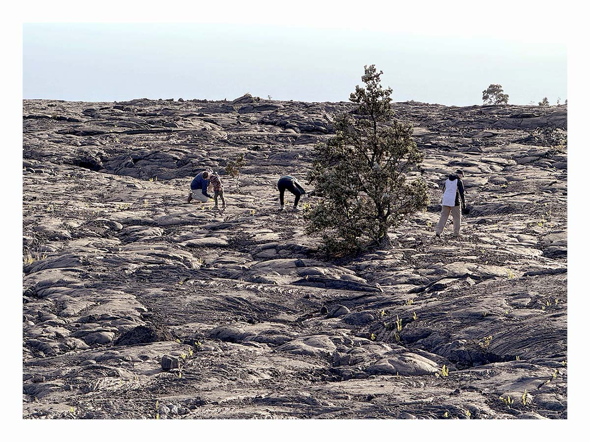 Volcano NP