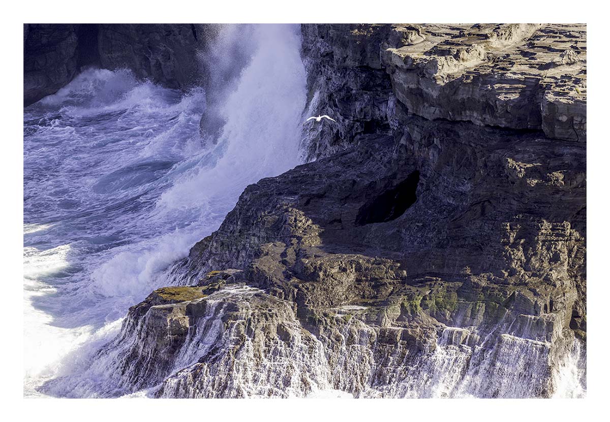 Kilauea Piint NWR