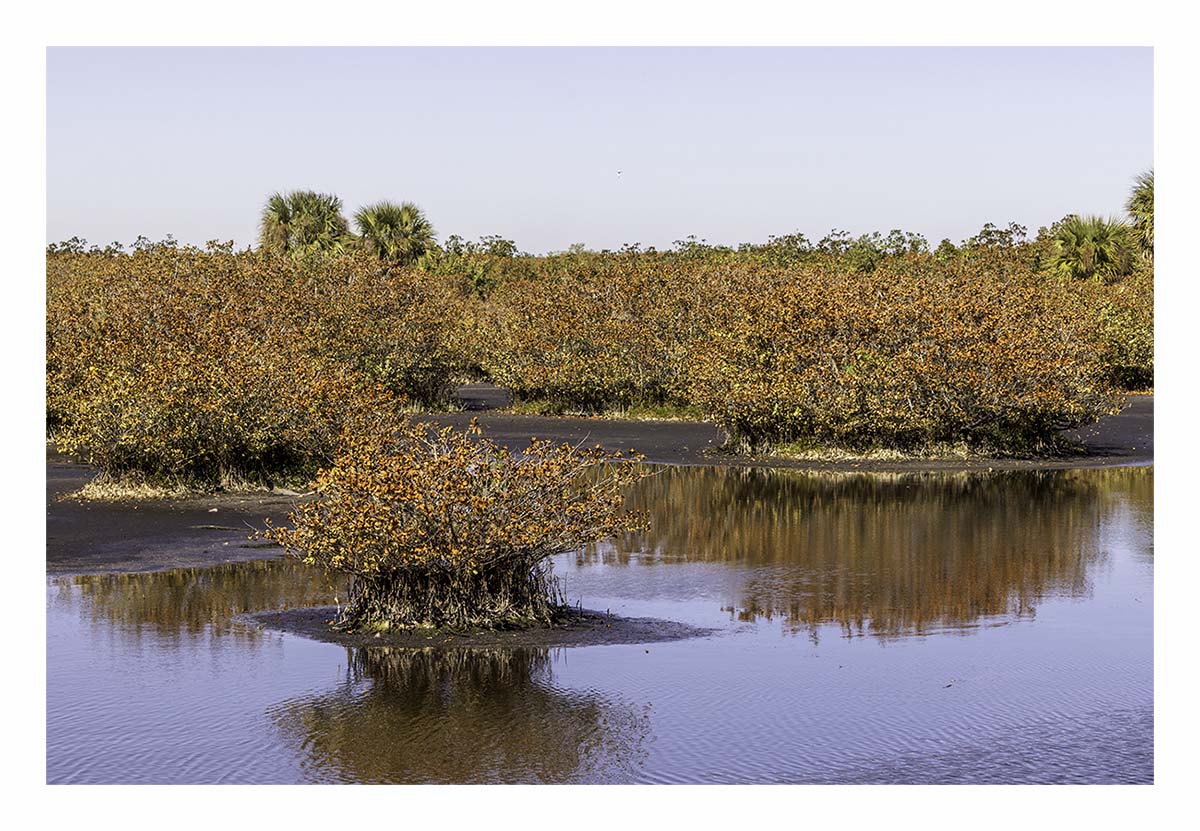 Merritt Island