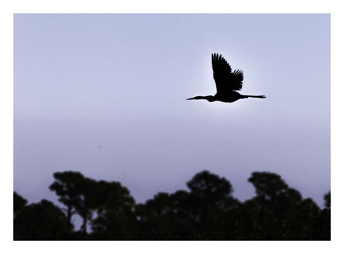 Merritt Island