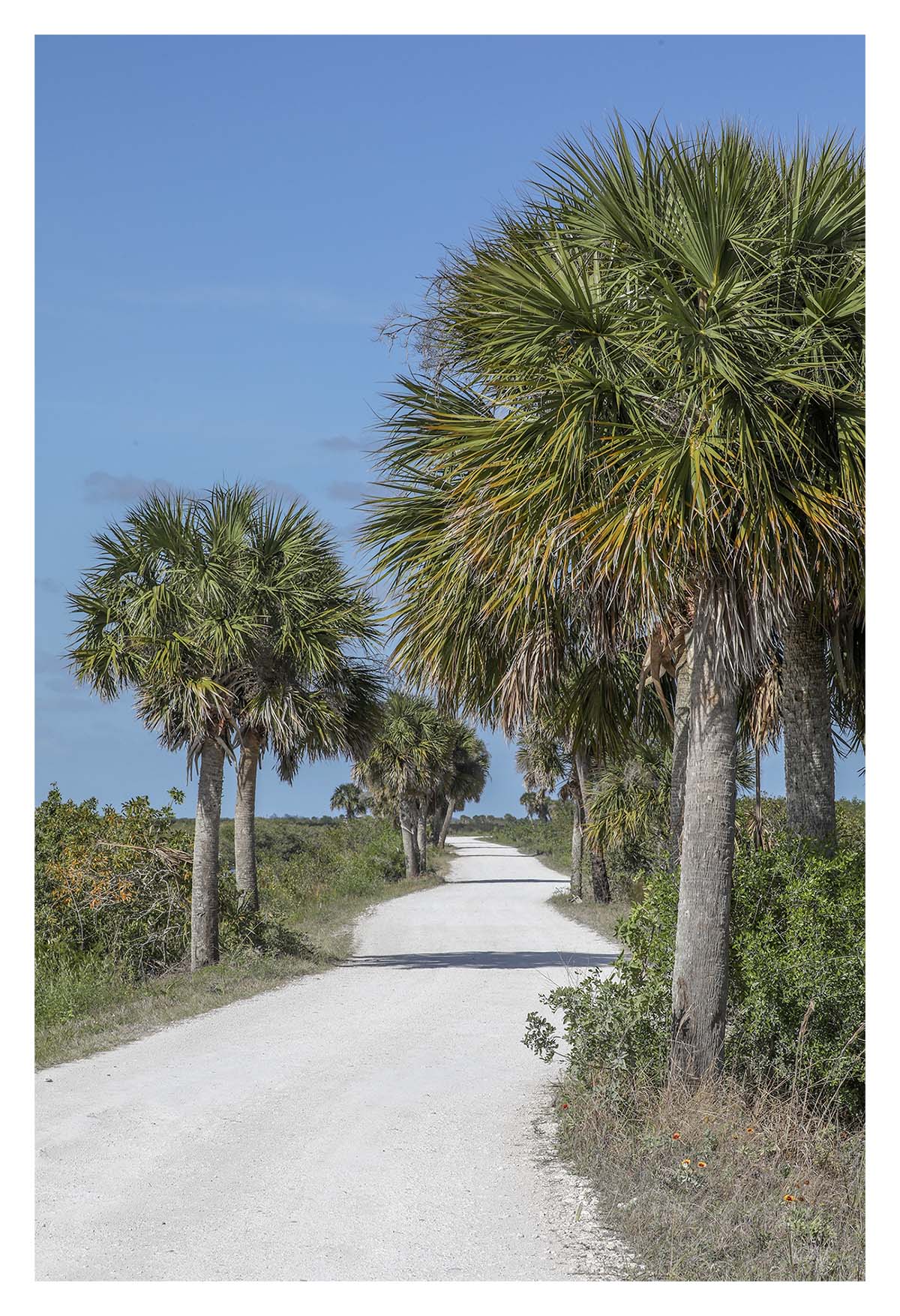 Merritt Island
