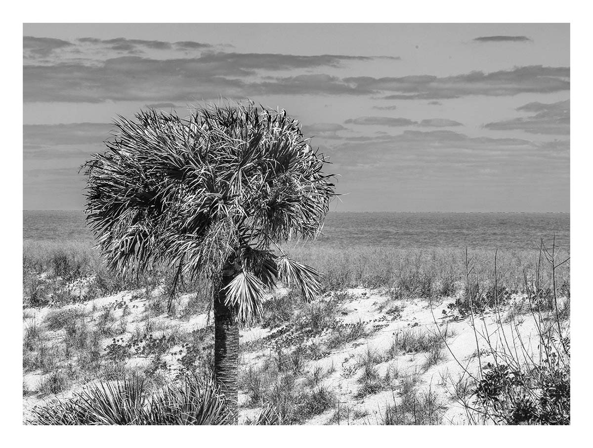 Merritt Island