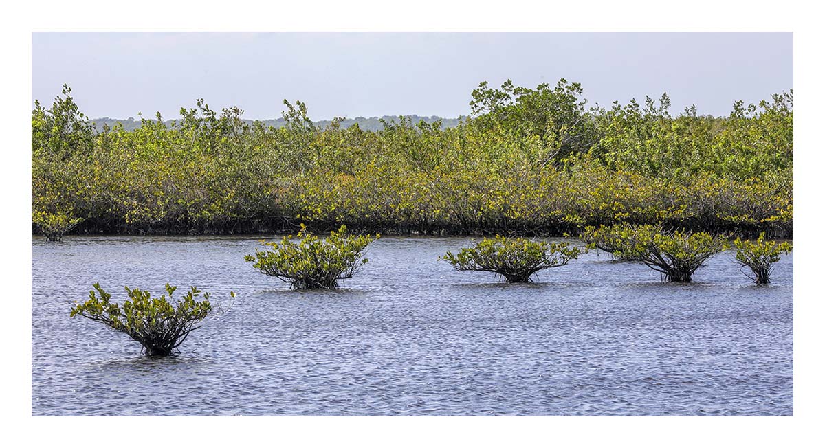 Merritt Island