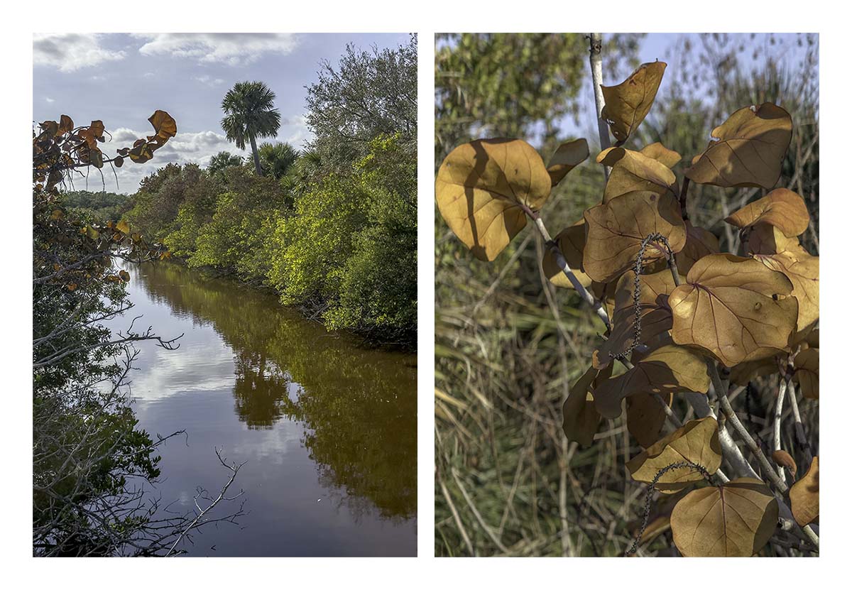Pelican Island NWR