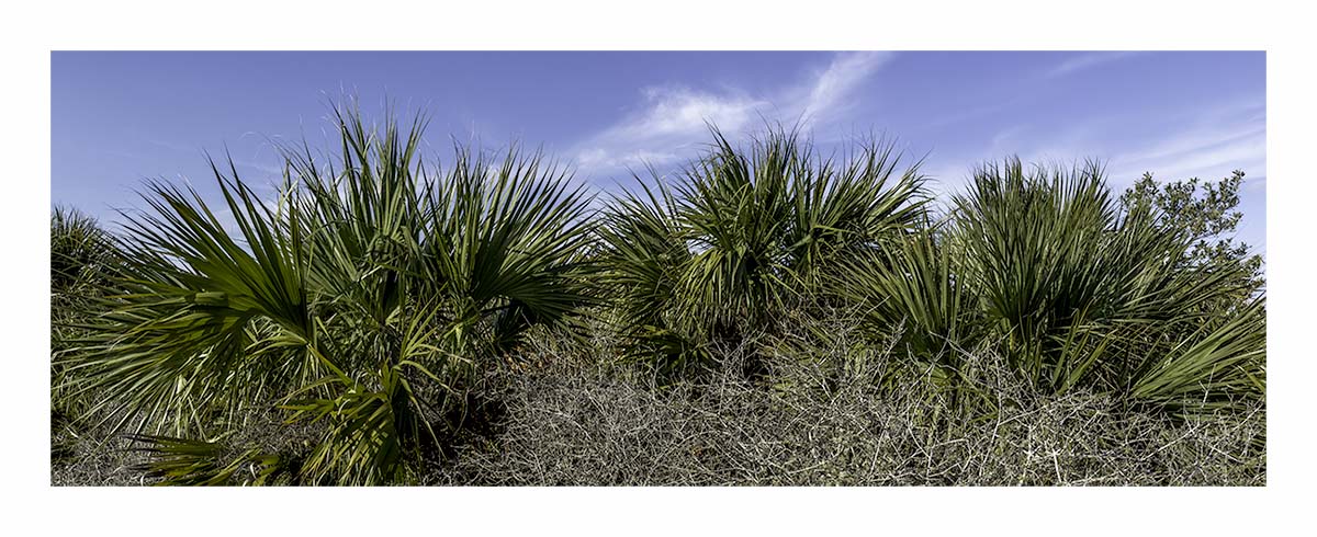 Pelican Island NWR