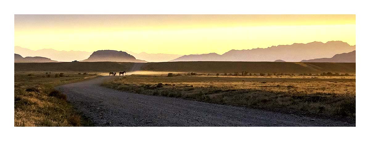 BCJ Wild Horses of Utah