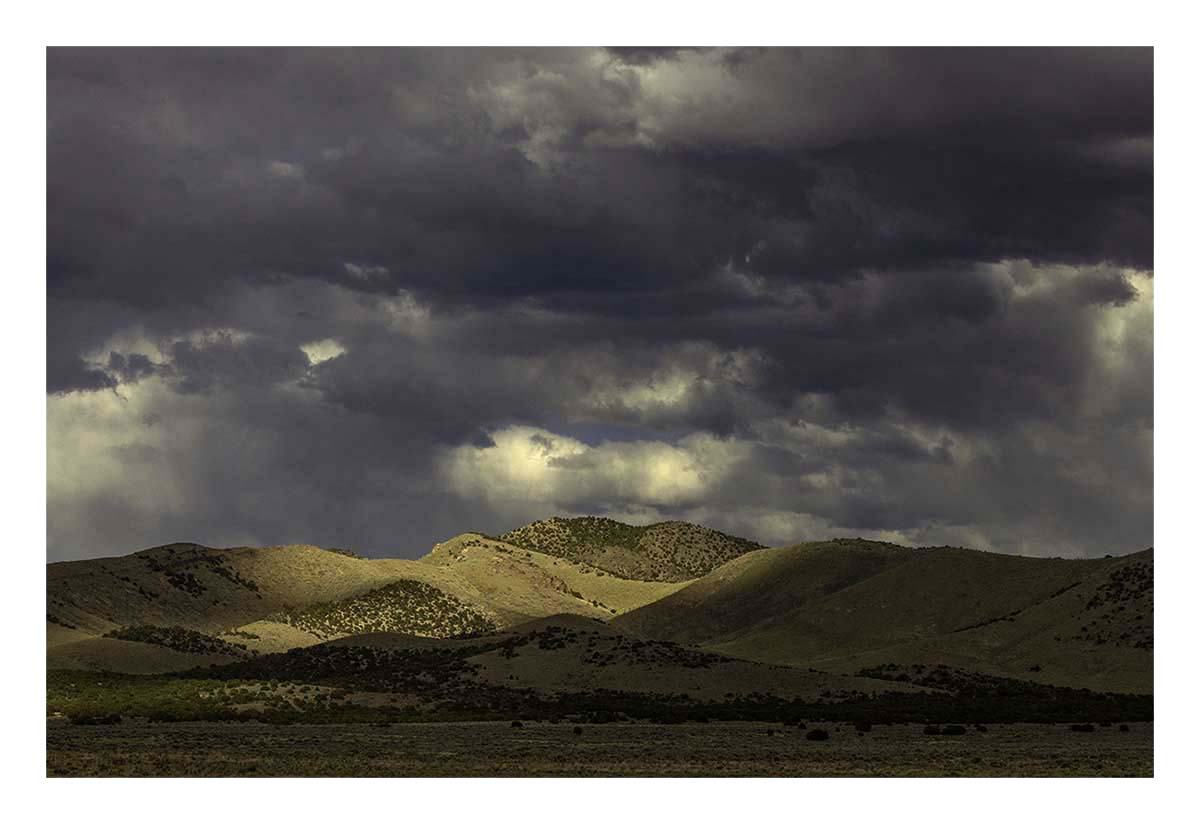BCJ Wild Horses of Utah