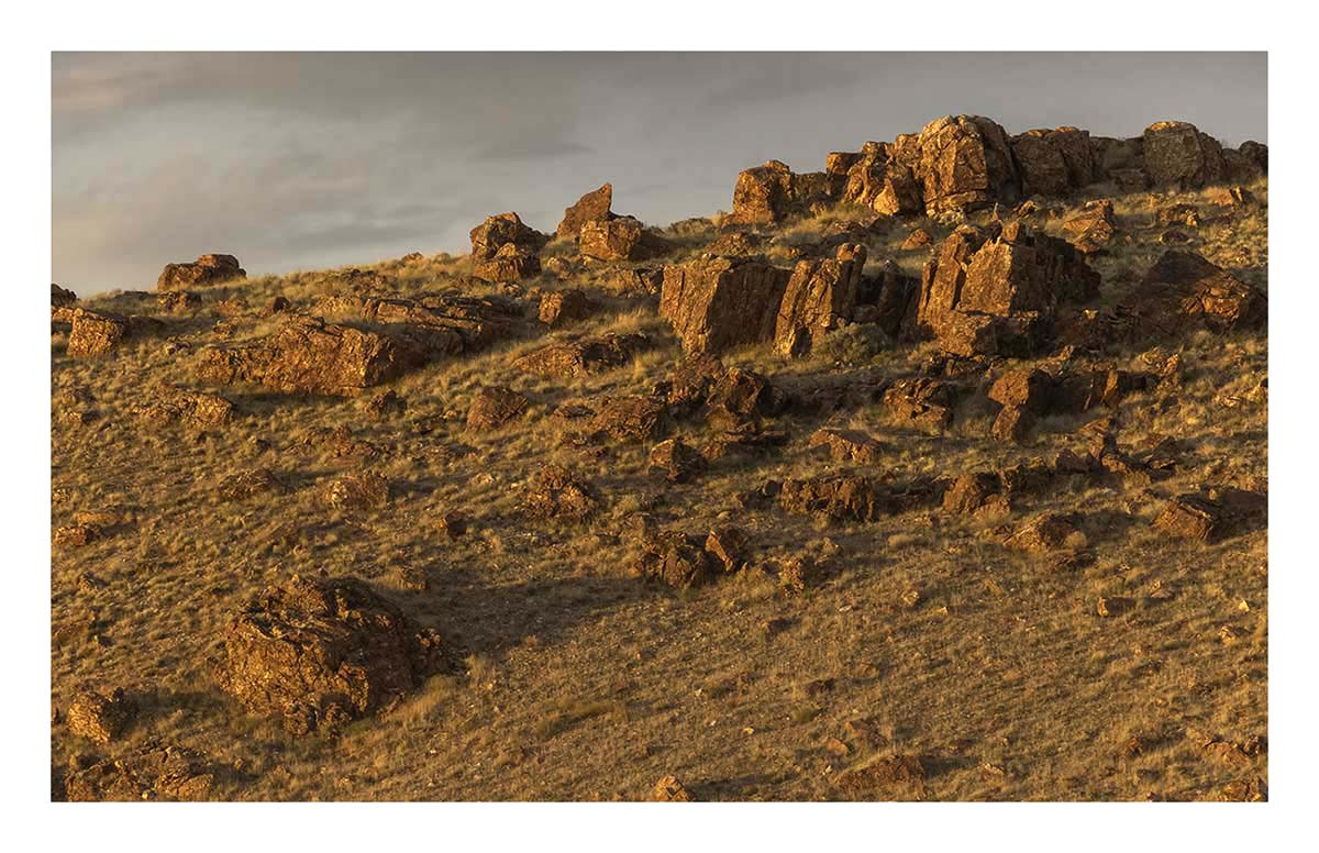 BCJ Wild Horses of Utah