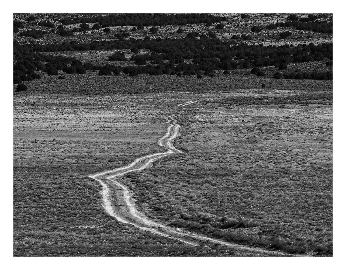 BCJ Wild Horses of Utah