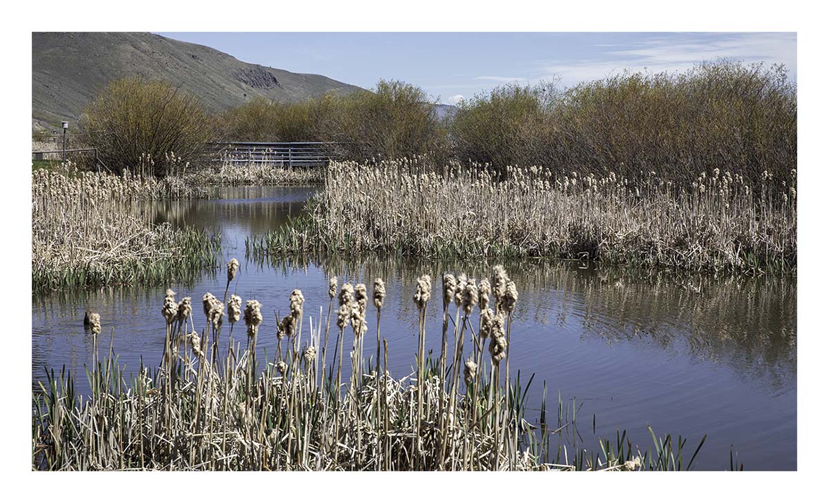National Elk Refuge