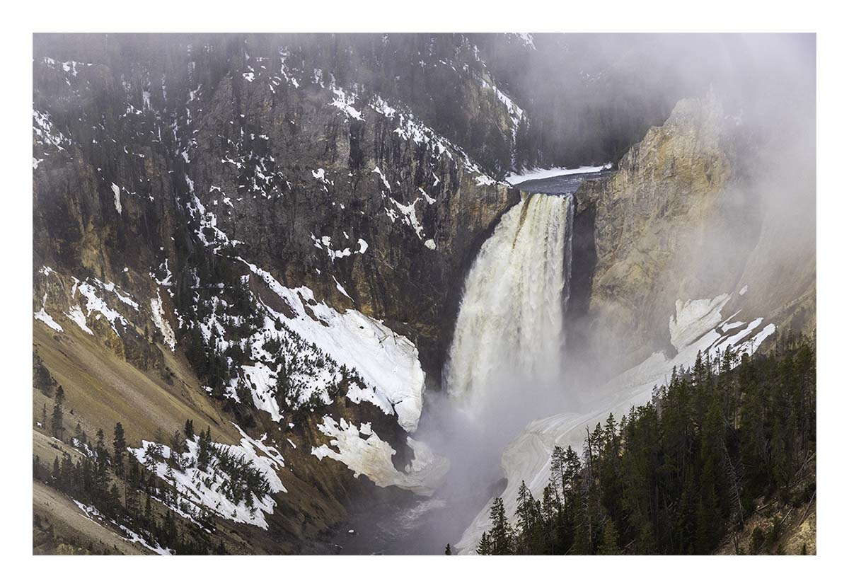 BCJ Spring in Yellowstone - Grand Teton
