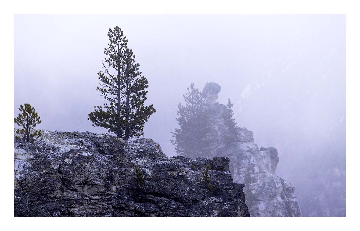 BCJ Spring in Yellowstone - Grand Teton