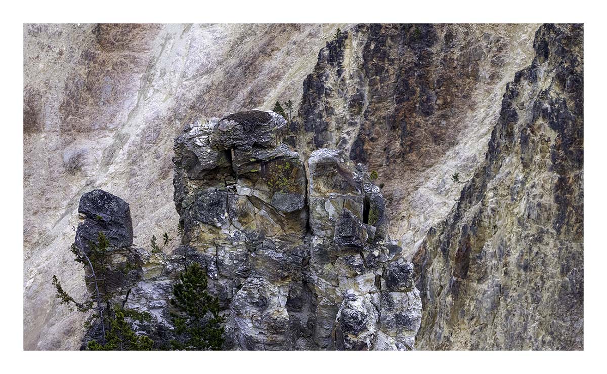 BCJ Spring in Yellowstone - Grand Teton