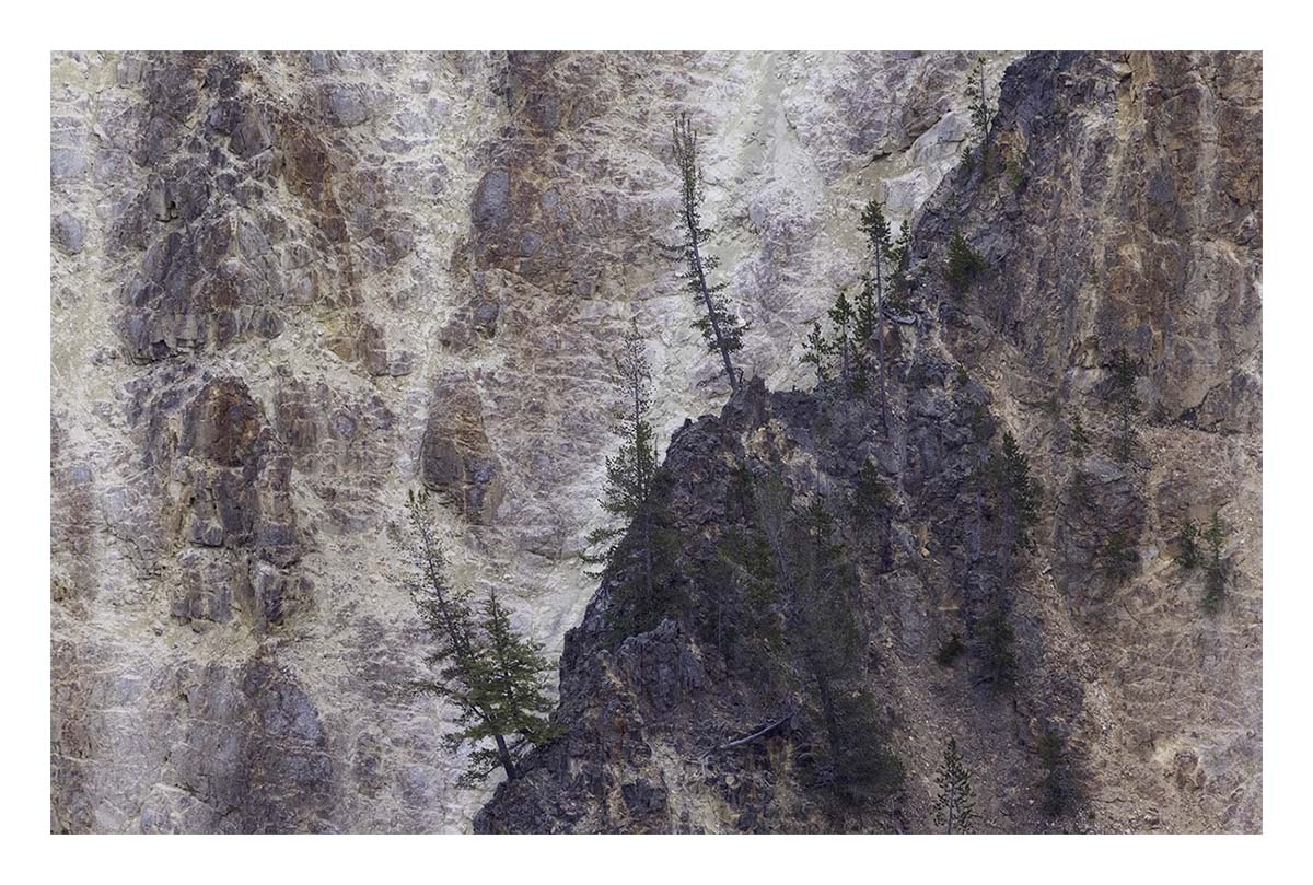 BCJ Spring in Yellowstone - Grand Teton