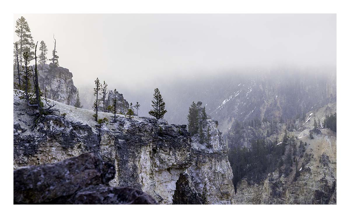 BCJ Spring in Yellowstone - Grand Teton
