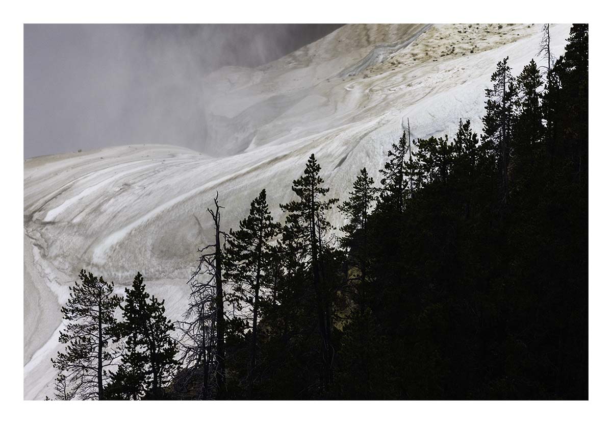 BCJ Spring in Yellowstone - Grand Teton