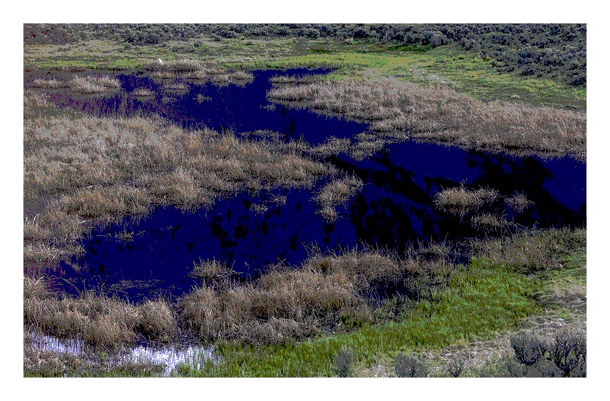 BCJ Spring in Yellowstone - Grand Teton