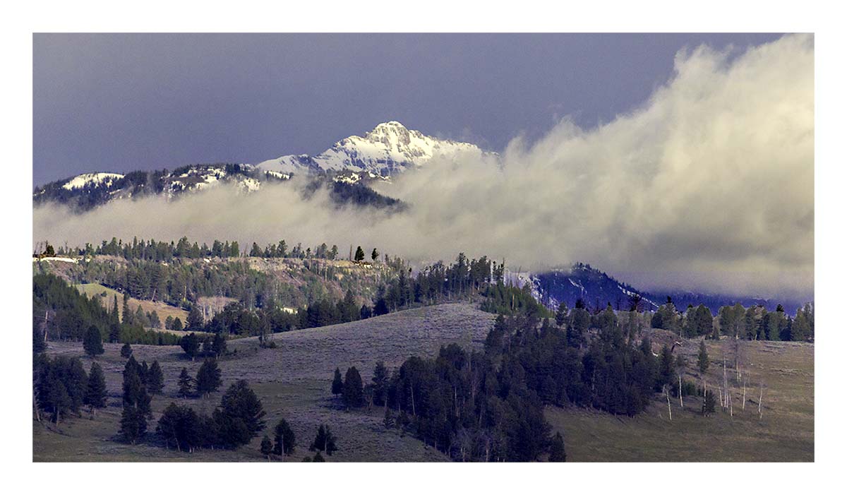 BCJ Spring in Yellowstone - Grand Teton