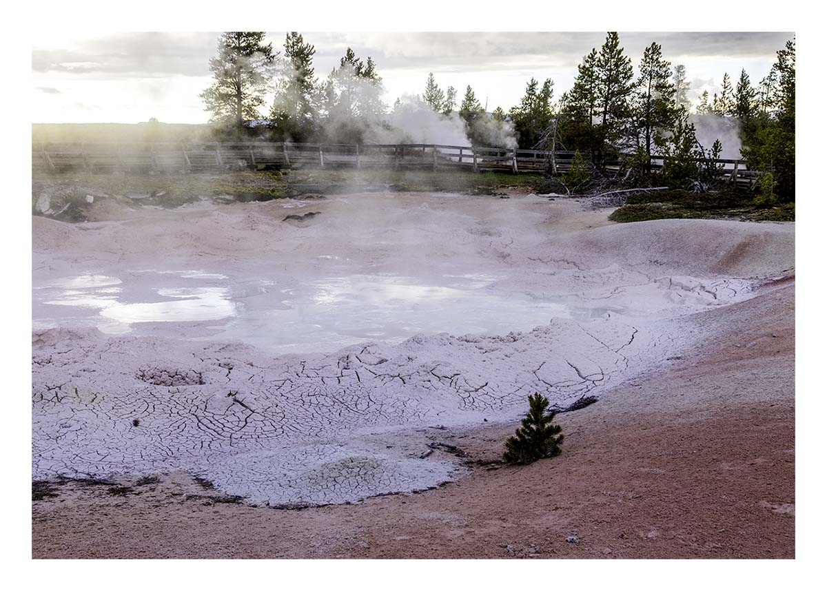 BCJ Spring in Yellowstone - Grand Teton