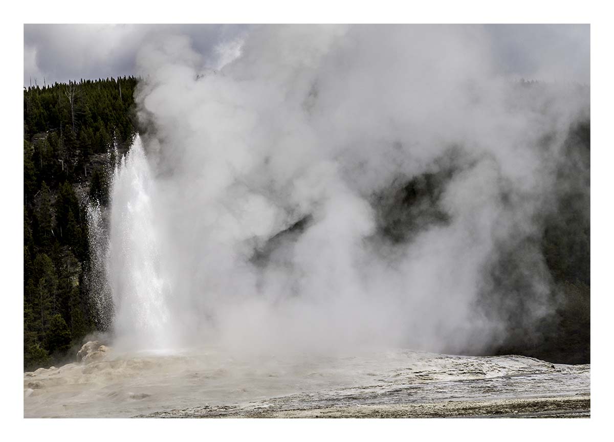 BCJ Spring in Yellowstone - Grand Teton