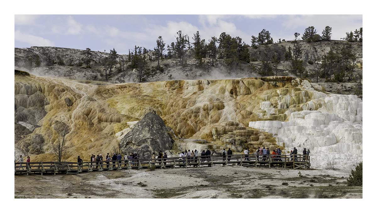 BCJ Spring in Yellowstone - Grand Teton