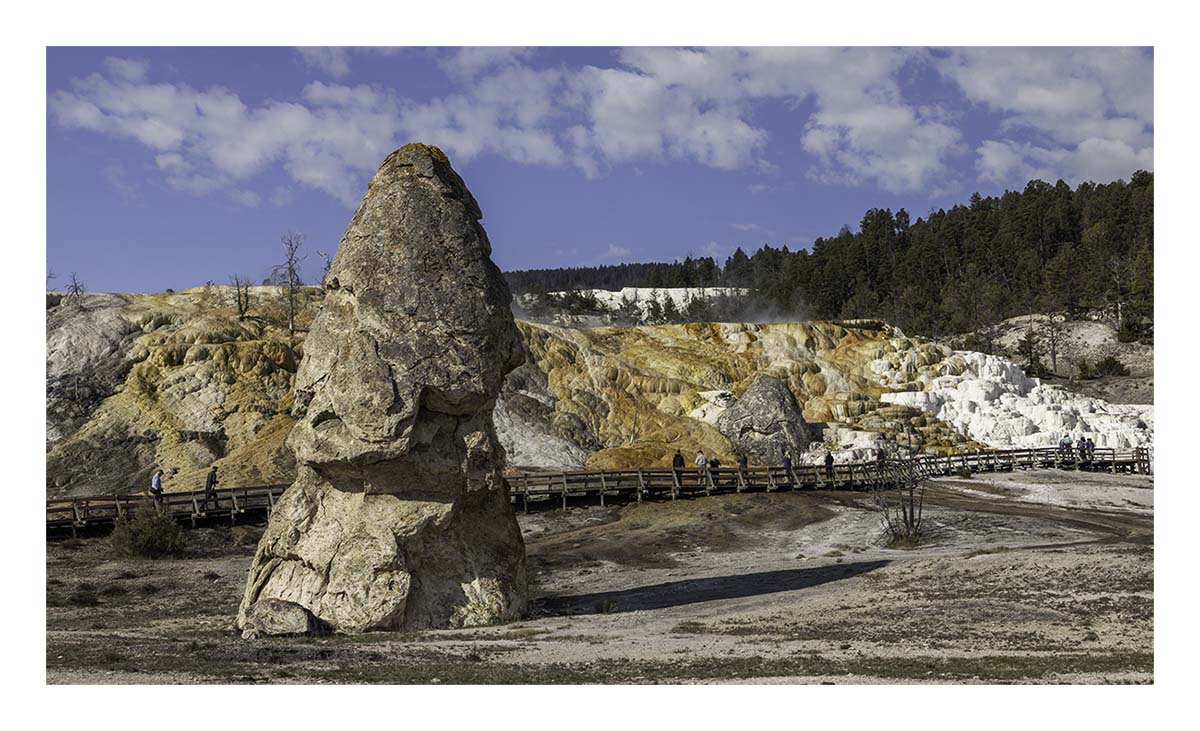 BCJ Spring in Yellowstone - Grand Teton