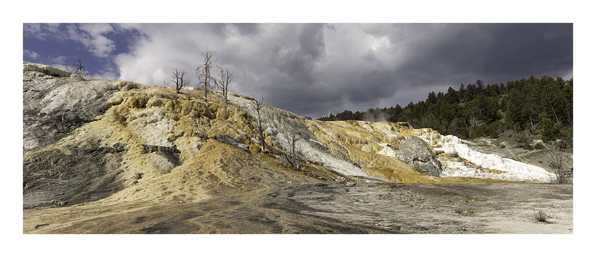 BCJ Spring in Yellowstone - Grand Teton