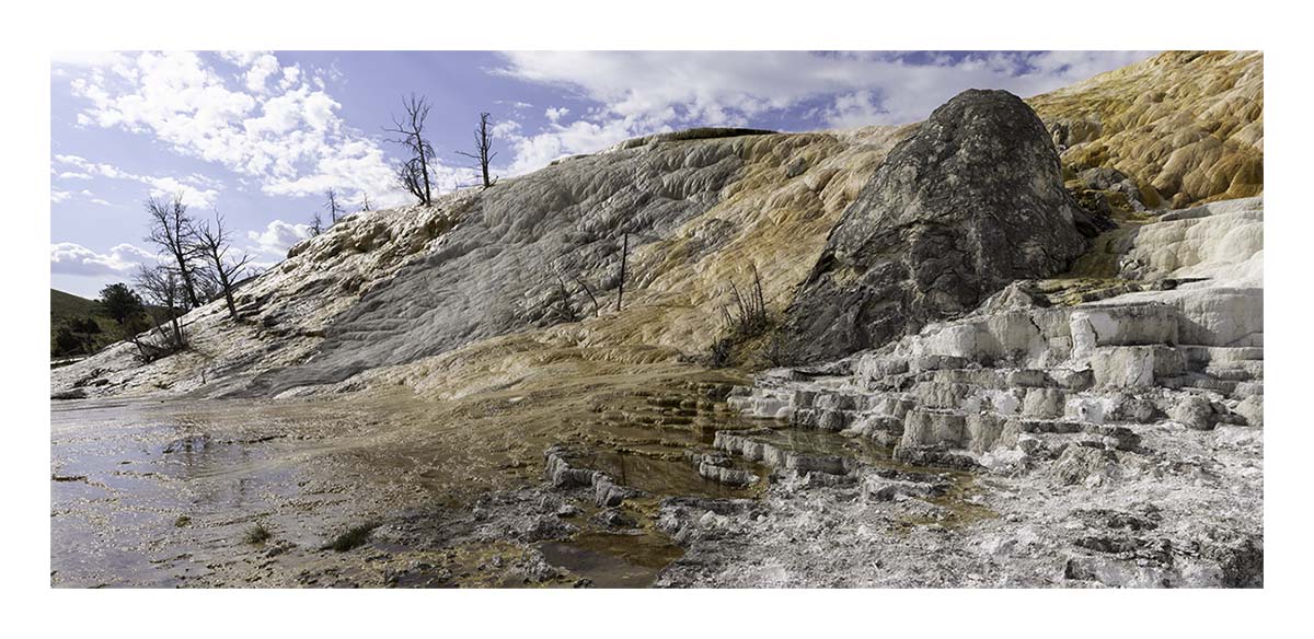 BCJ Spring in Yellowstone - Grand Teton
