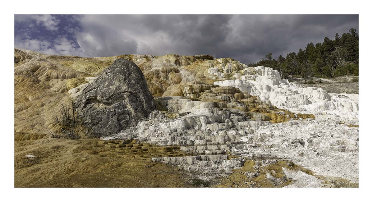 BCJ Spring in Yellowstone - Grand Teton