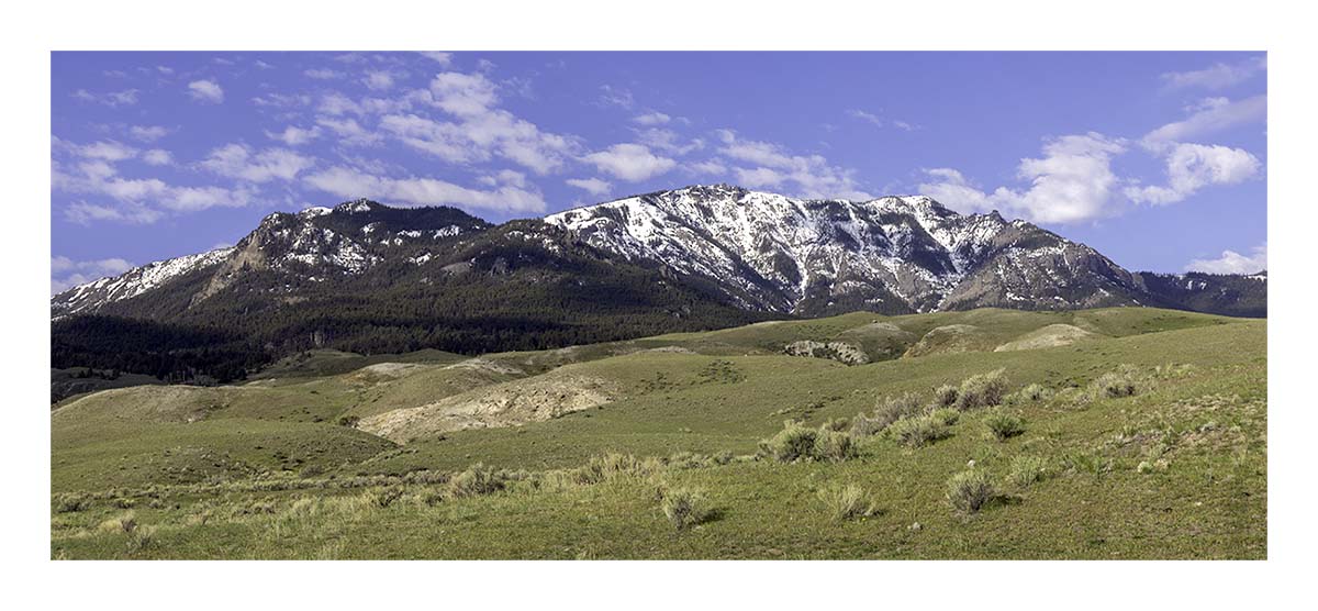 BCJ Spring in Yellowstone - Grand Teton
