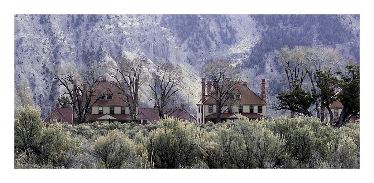 BCJ Spring in Yellowstone - Grand Teton