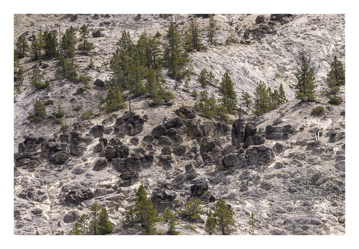 BCJ Spring in Yellowstone - Grand Teton
