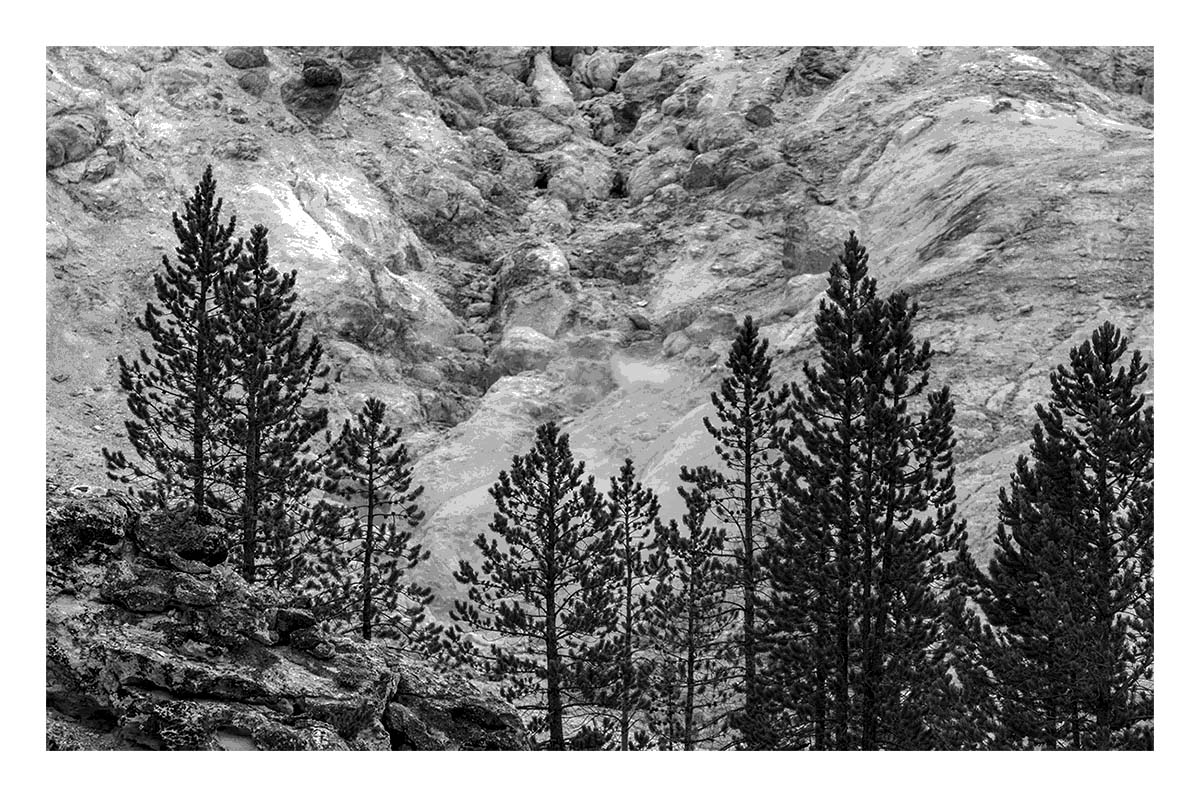 BCJ Spring in Yellowstone - Grand Teton