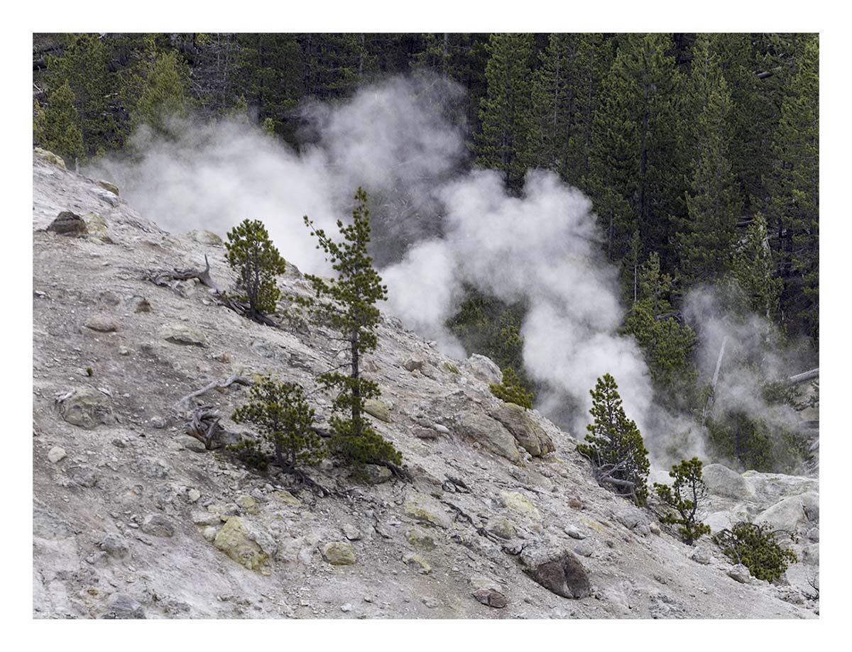 BCJ Spring in Yellowstone - Grand Teton