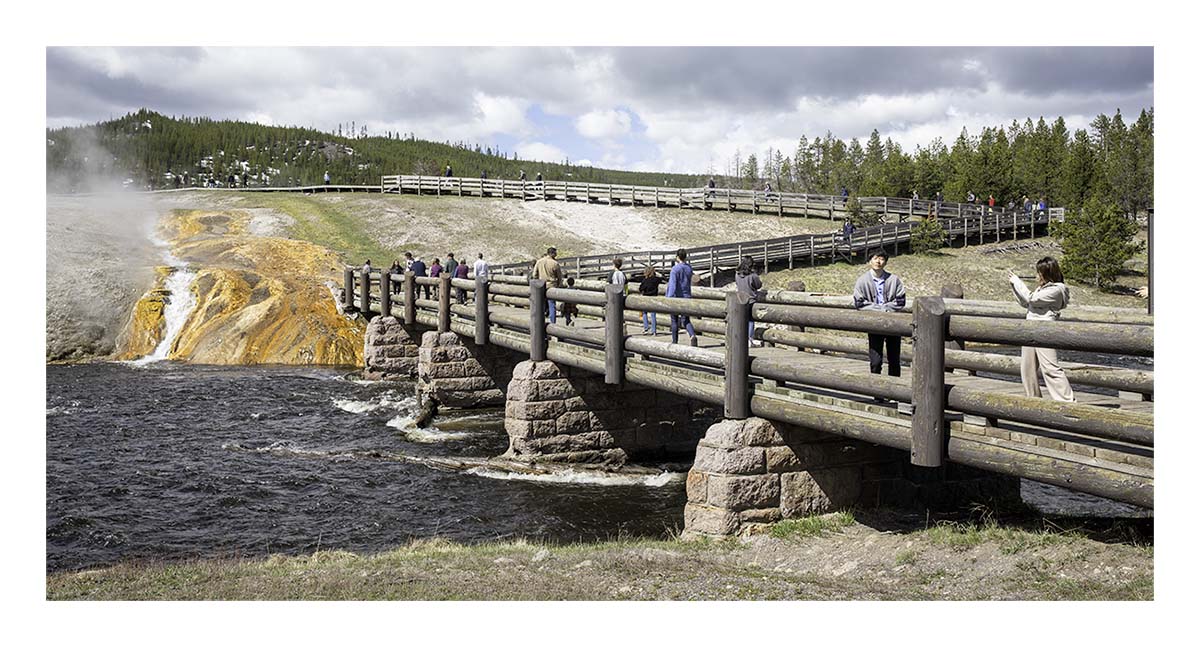 BCJ Spring in Yellowstone - Grand Teton