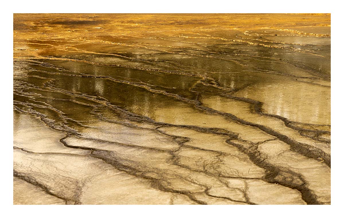 BCJ Spring in Yellowstone - Grand Teton