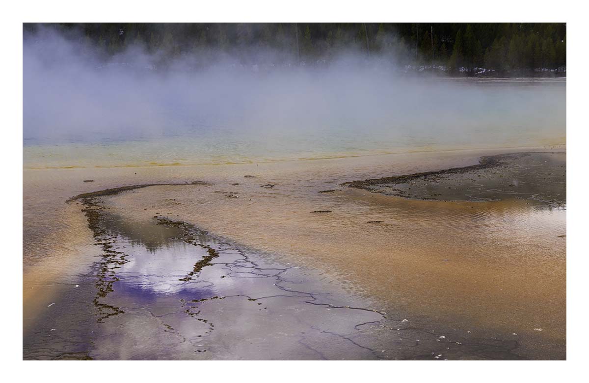 BCJ Spring in Yellowstone - Grand Teton