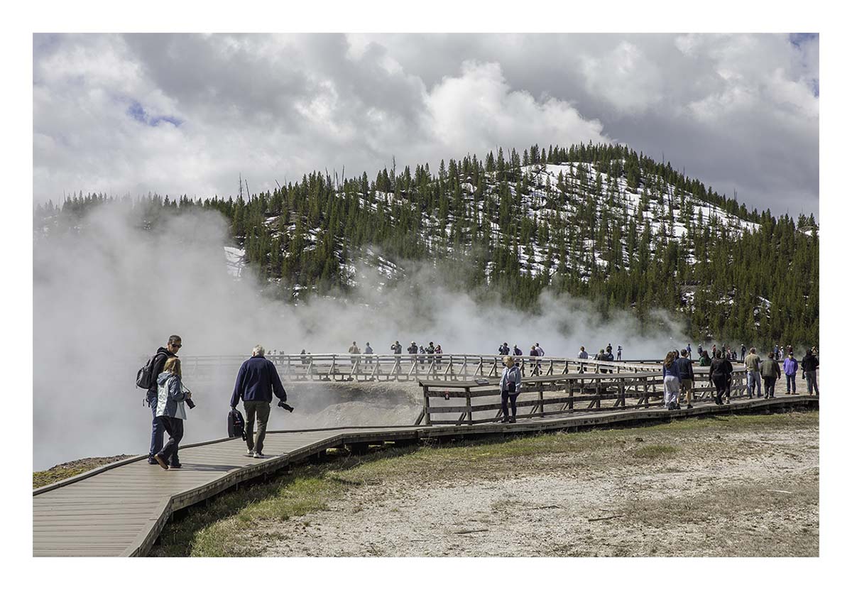 BCJ Spring in Yellowstone - Grand Teton