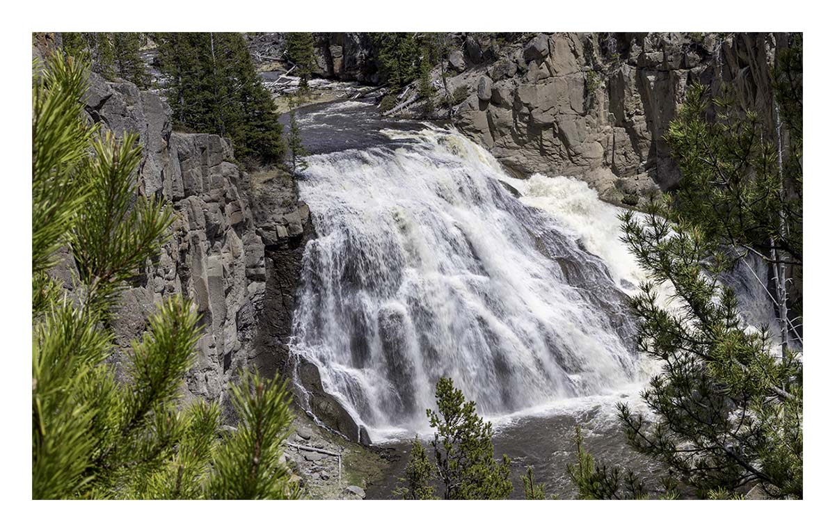 BCJ Spring in Yellowstone - Grand Teton