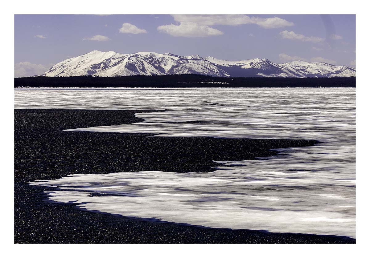 BCJ Spring in Yellowstone - Grand Teton