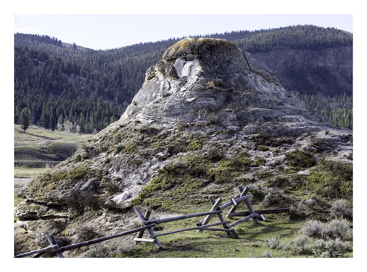 BCJ Spring in Yellowstone - Grand Teton