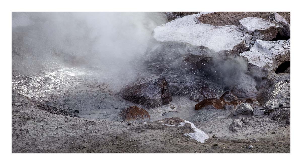 BCJ Spring in Yellowstone - Grand Teton