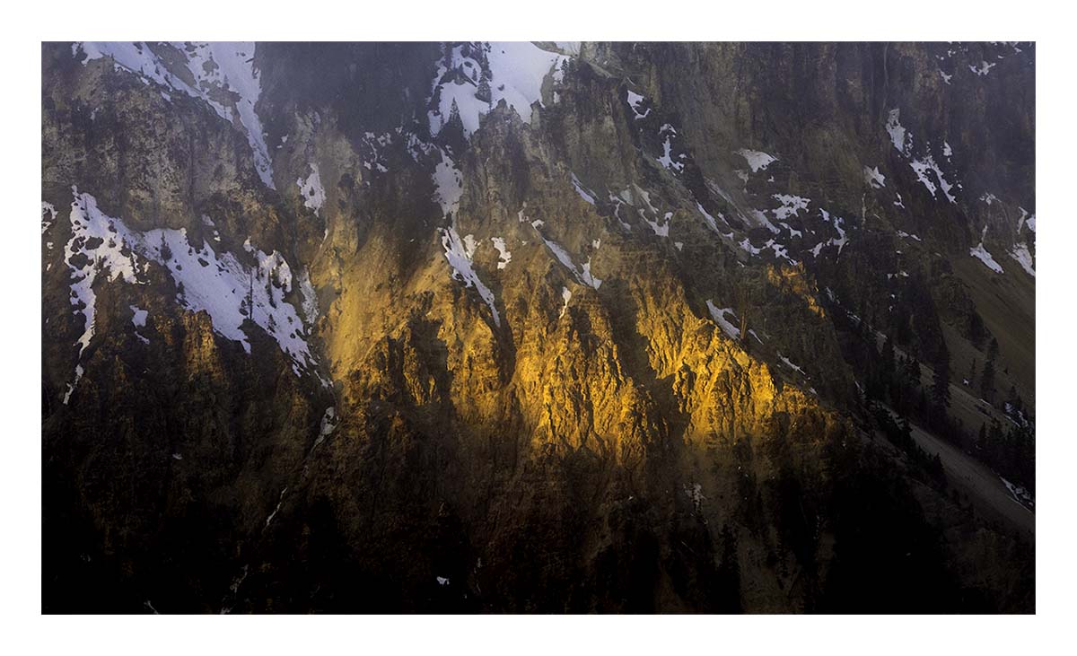 BCJ Spring in Yellowstone - Grand Teton