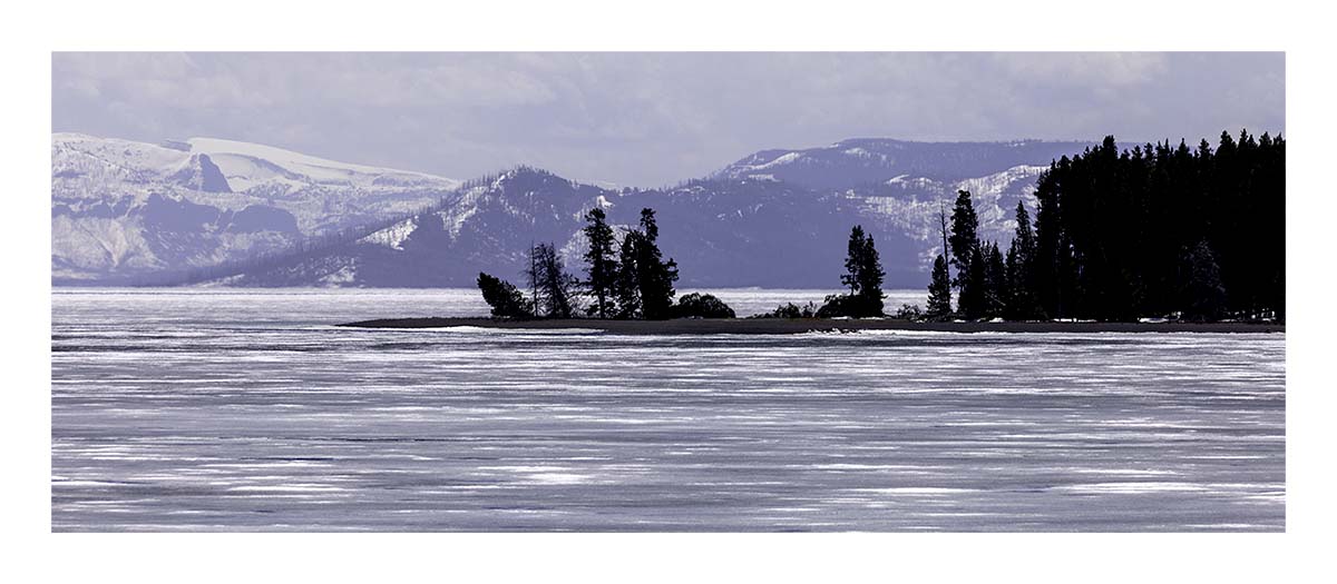 BCJ Spring in Yellowstone - Grand Teton